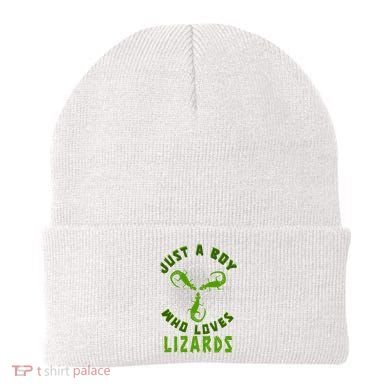 Just A Boy Who Loves Lizards Reptile Lizard Lovers Gift Beanie
