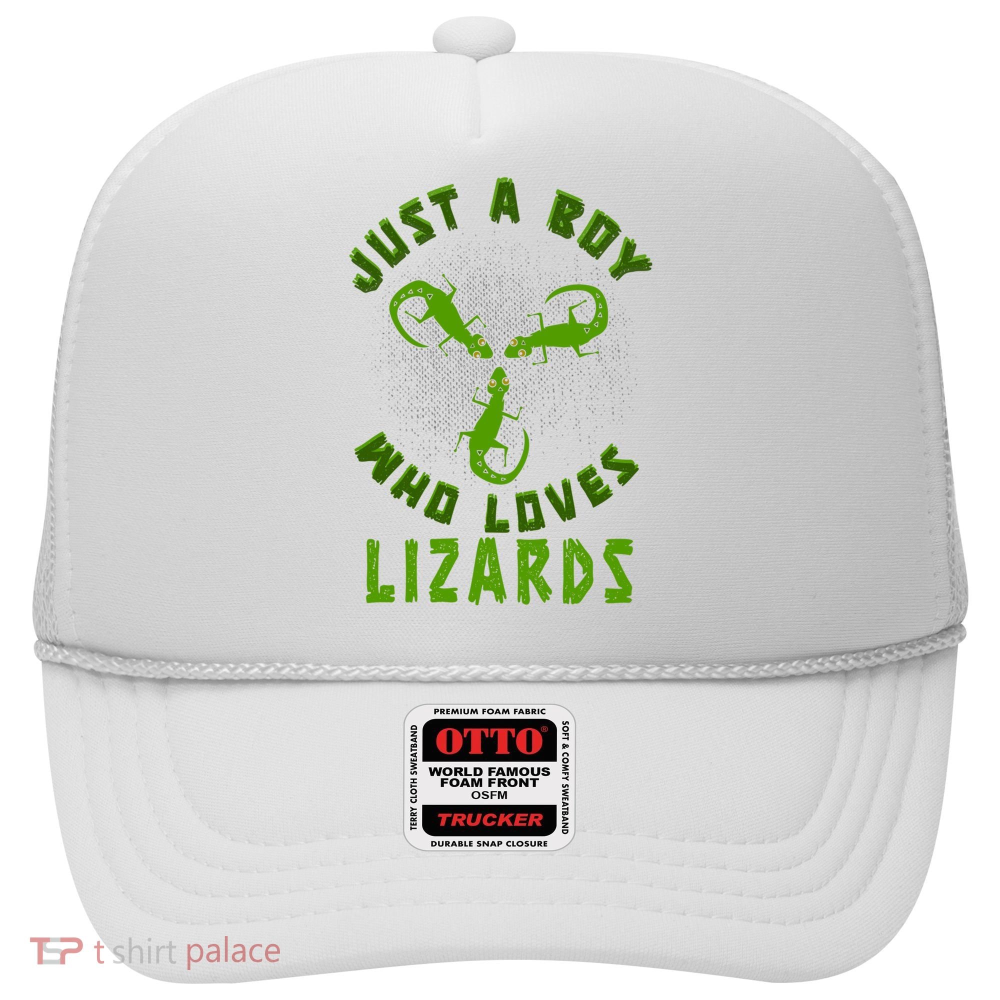 Just A Boy Who Loves Lizards Reptile Lizard Lovers Gift Hat