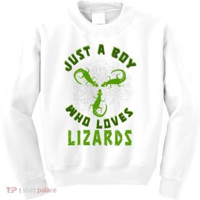 Just A Boy Who Loves Lizards Reptile Lizard Lovers Gift Kids Sweatshirt