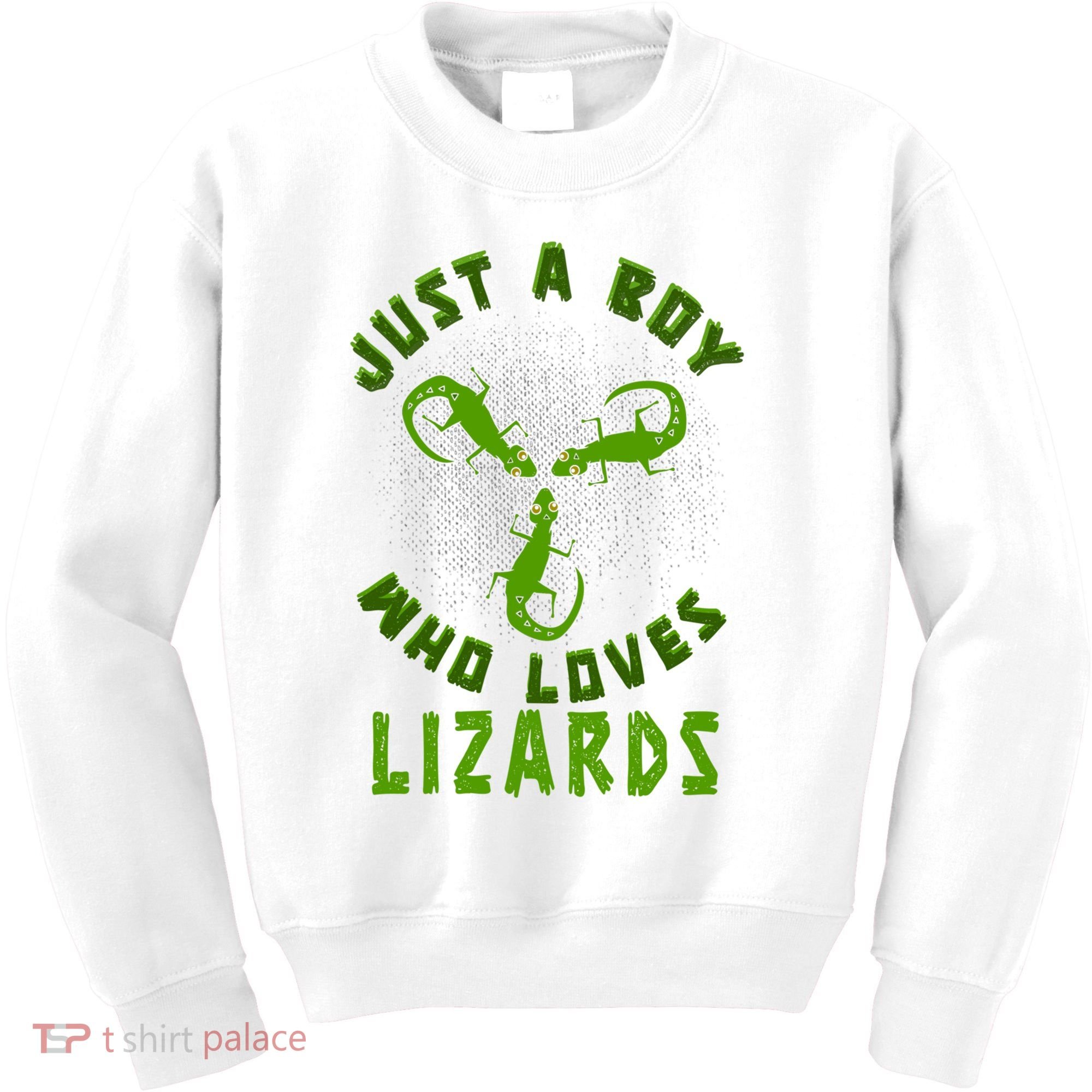 Just A Boy Who Loves Lizards Reptile Lizard Lovers Gift Kids Sweatshirt