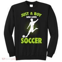 Just A Boy Who Loves Soccer Player Sweatshirt thumb 0