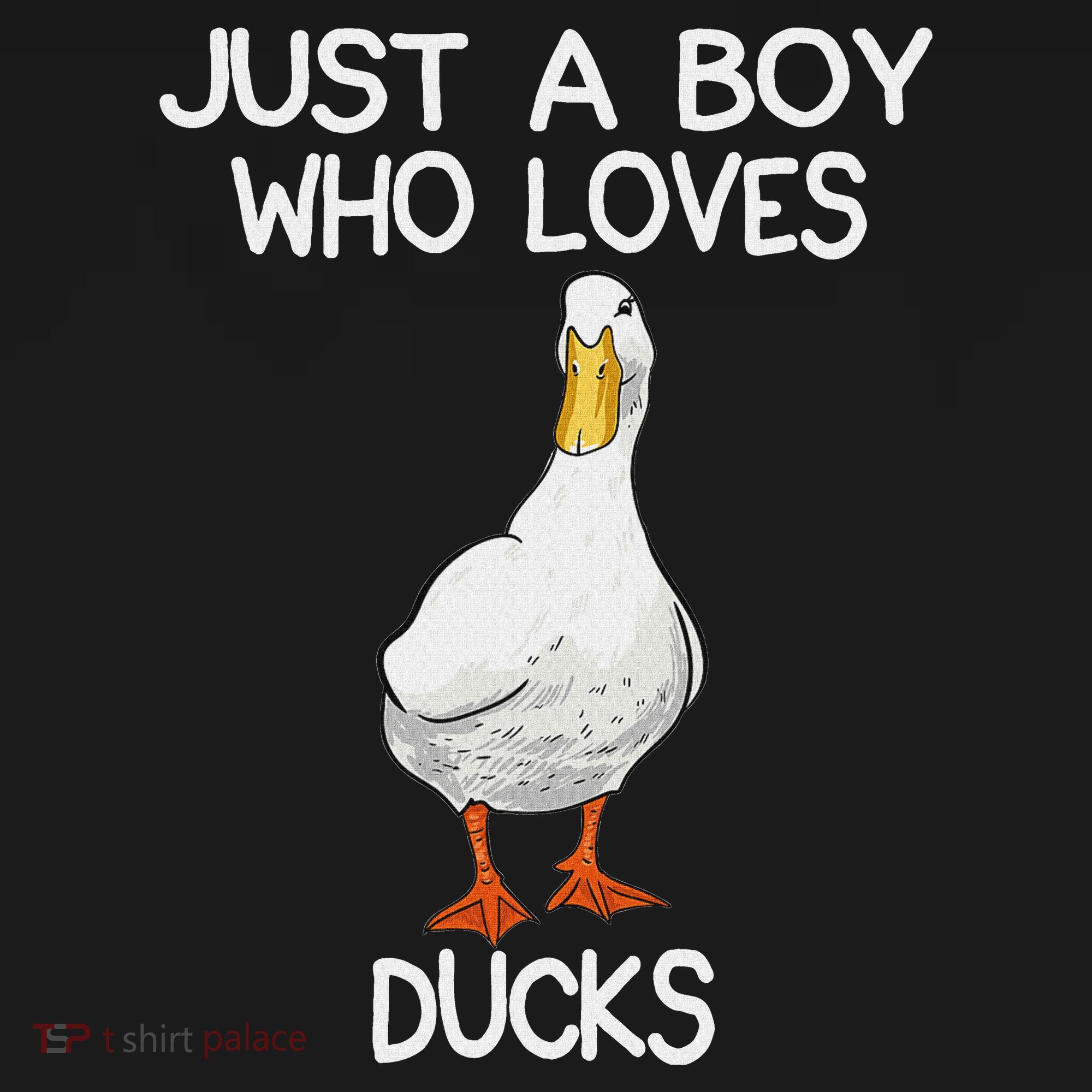 Just A Boy Who Loves Ducks Lover Gifts Duck Owner Sweatshirt