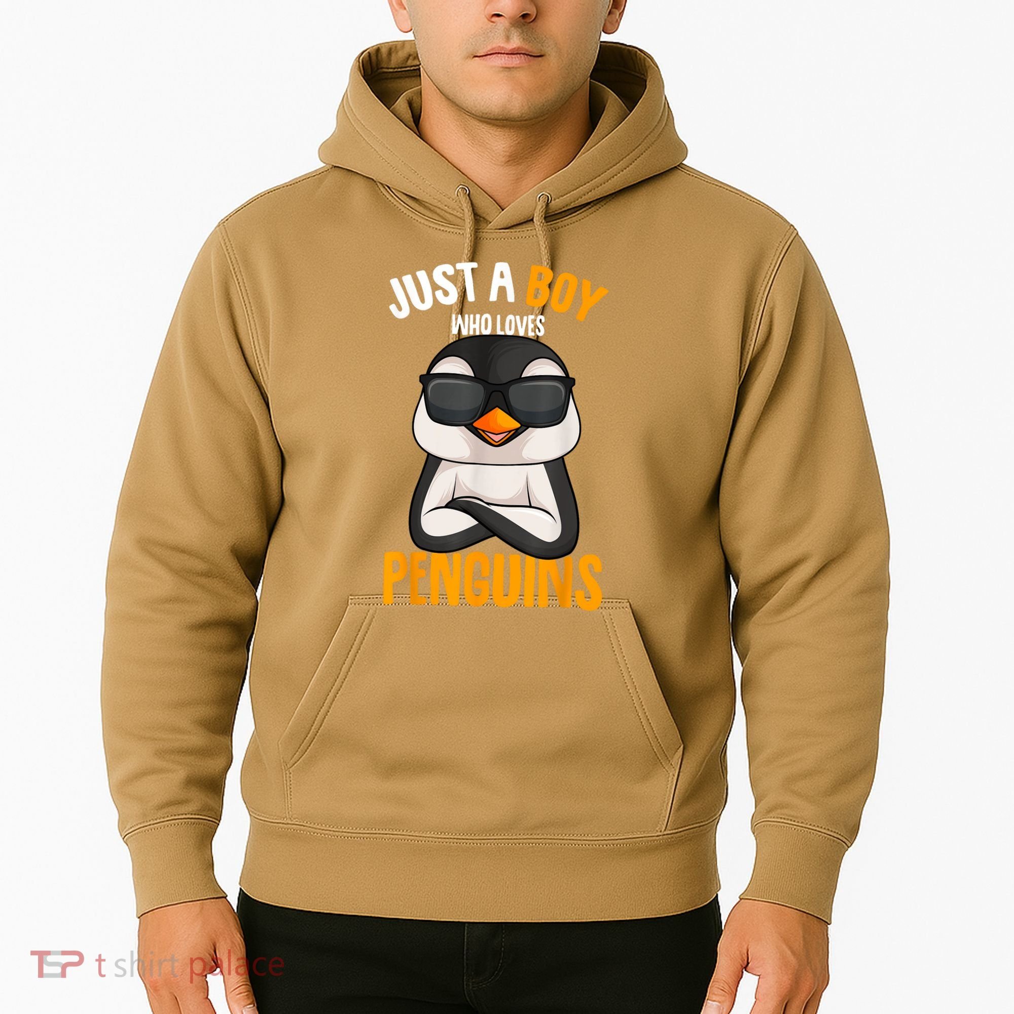 Just A Boy Who Loves Penguins Penguin Hoodie