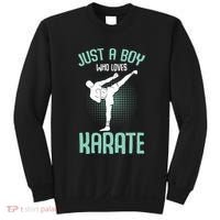 Just A Boy Who Loves Karate Boy Sweatshirt thumb 0