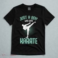 Just A Boy Who Loves Karate Boy T-Shirt thumb 5