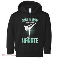 Just A Boy Who Loves Karate Boy Toddler Hoodie thumb 0