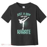 Just A Boy Who Loves Karate Boy Toddler T-Shirt thumb 0
