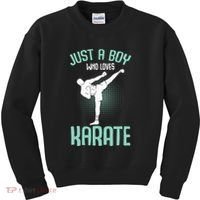 Just A Boy Who Loves Karate Boy Kids Sweatshirt thumb 0