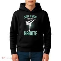 Just A Boy Who Loves Karate Boy Kids Hoodie thumb 4