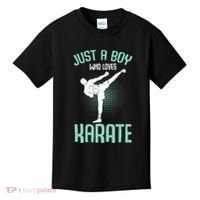 Just A Boy Who Loves Karate Boy Kids T-Shirt thumb 0