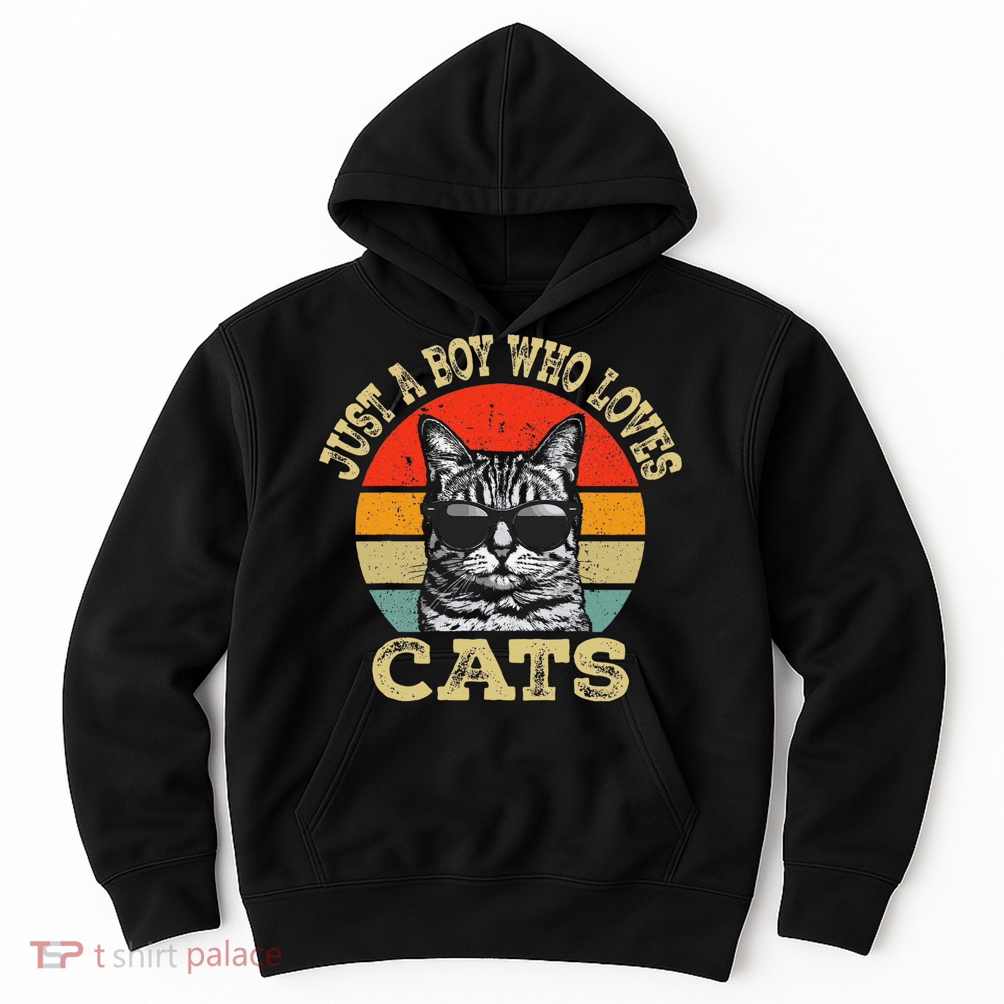 Just A Boy Who Loves Cats Boy Cat Lover Hoodie