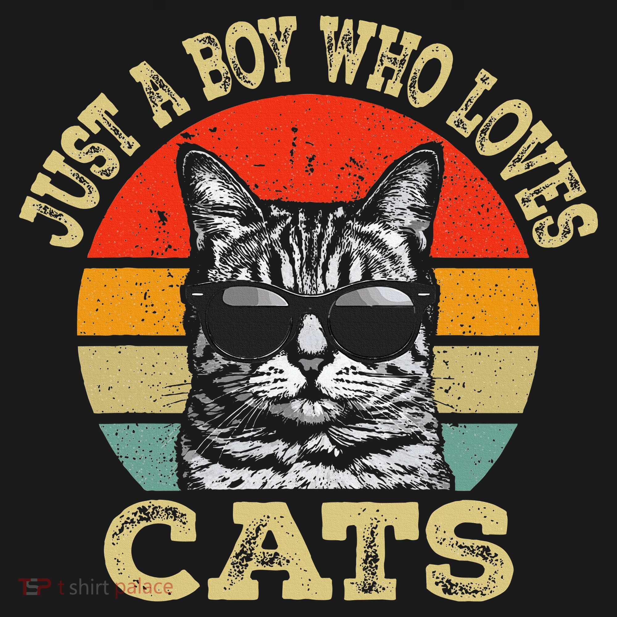 Just A Boy Who Loves Cats Boy Cat Lover Long Sleeve Shirt