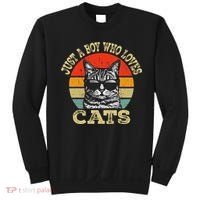 Just A Boy Who Loves Cats Boy Cat Lover Sweatshirt thumb 0