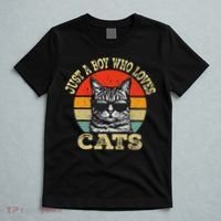 Just A Boy Who Loves Cats Boy Cat Lover T-Shirt thumb 5
