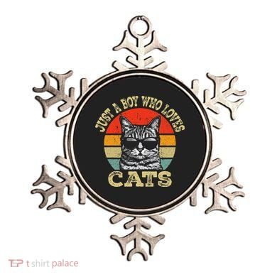 Just A Boy Who Loves Cats Boy Cat Lover Ornament