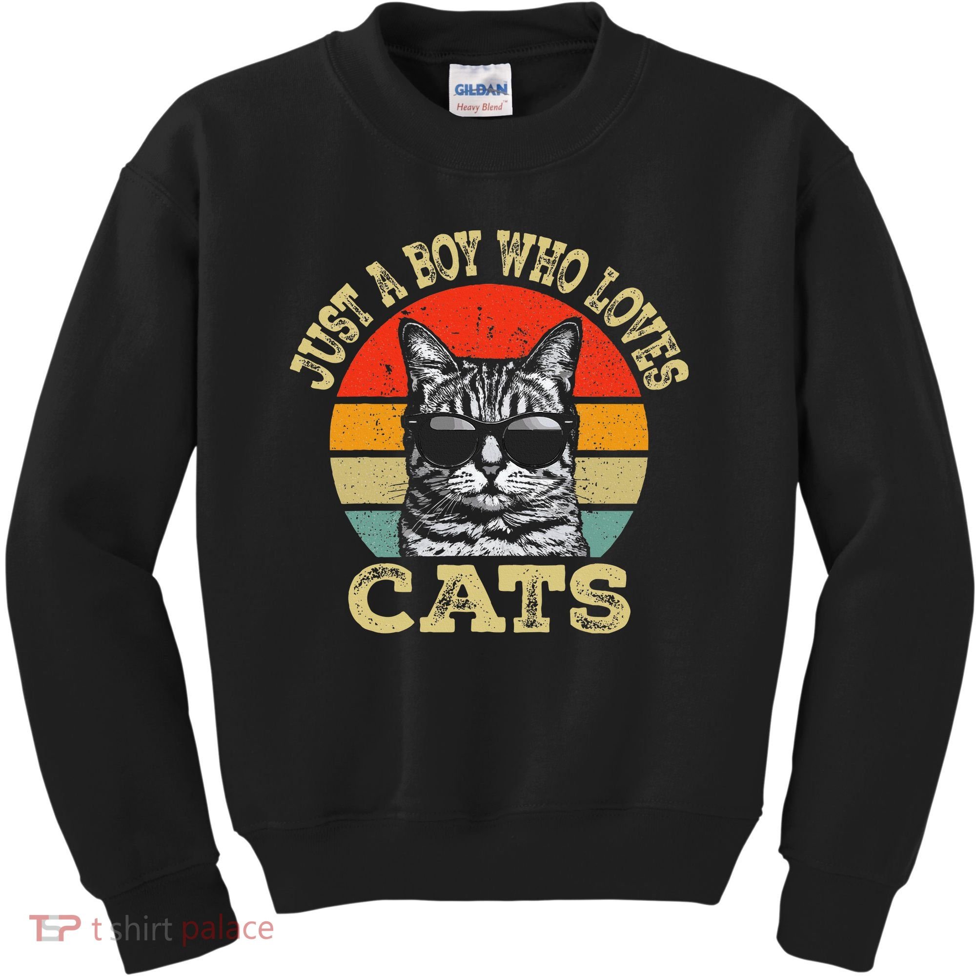 Just A Boy Who Loves Cats Boy Cat Lover Kids Sweatshirt