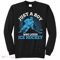Just A Boy Who Loves Ice Hockey For Hockey Boy Sweatshirt thumb 0