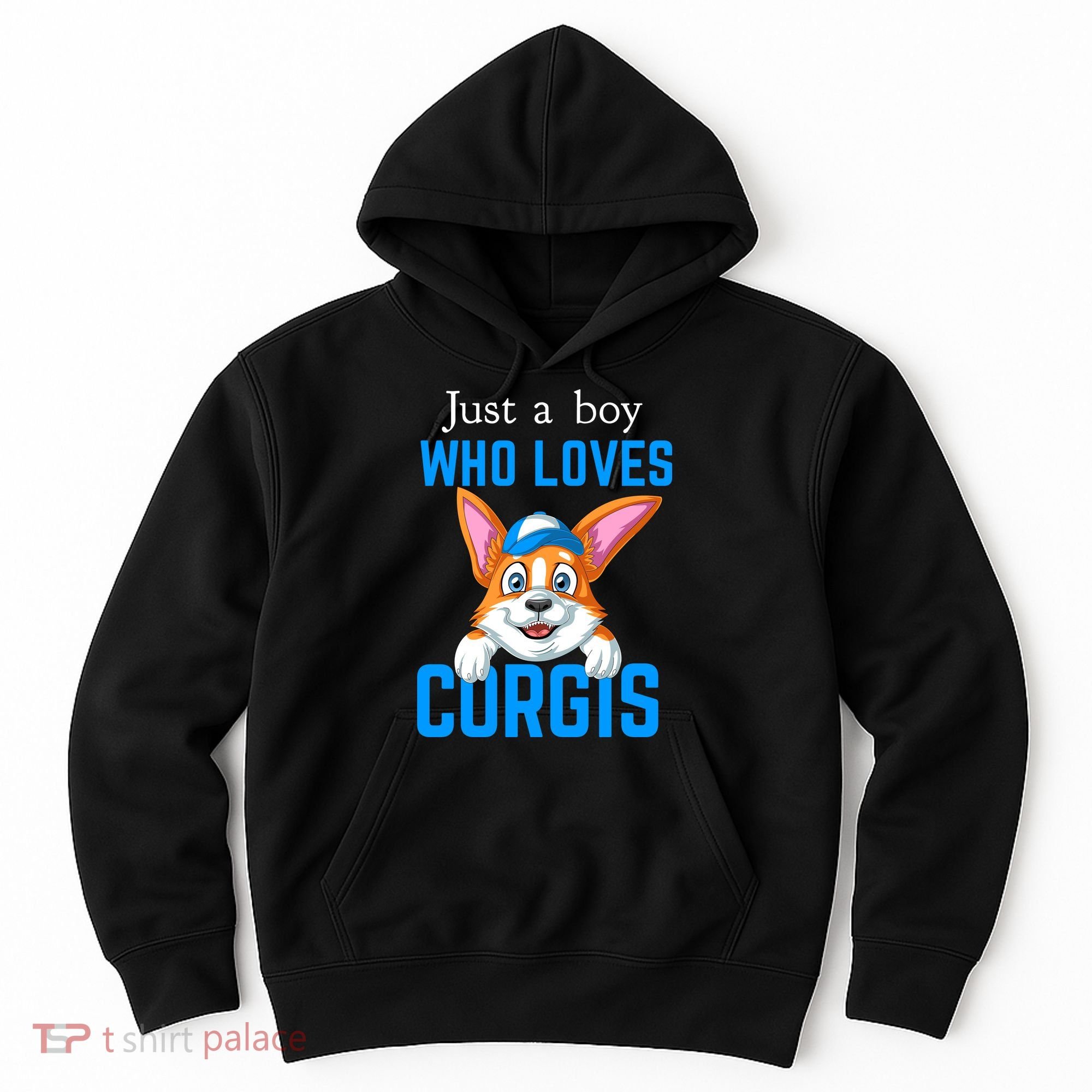 Just A Boy Who Loves Corgis Hoodie