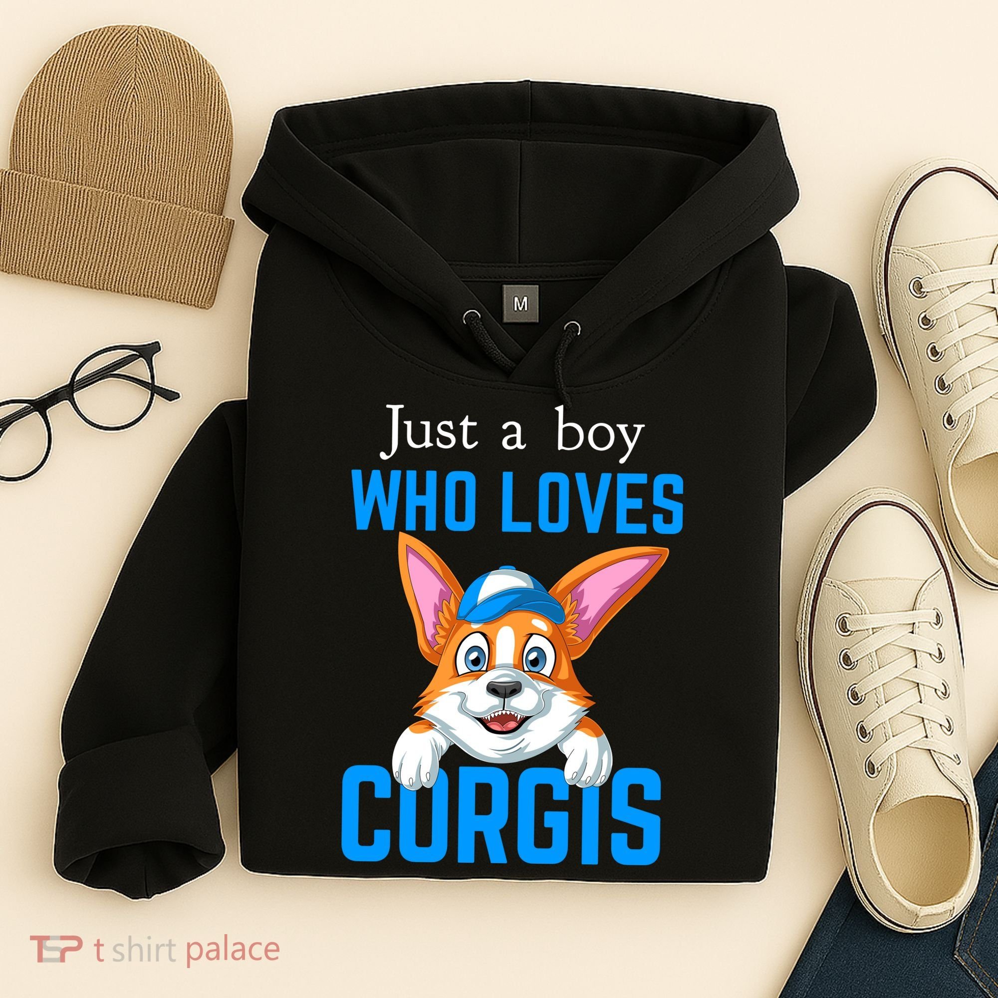 Just A Boy Who Loves Corgis Hoodie