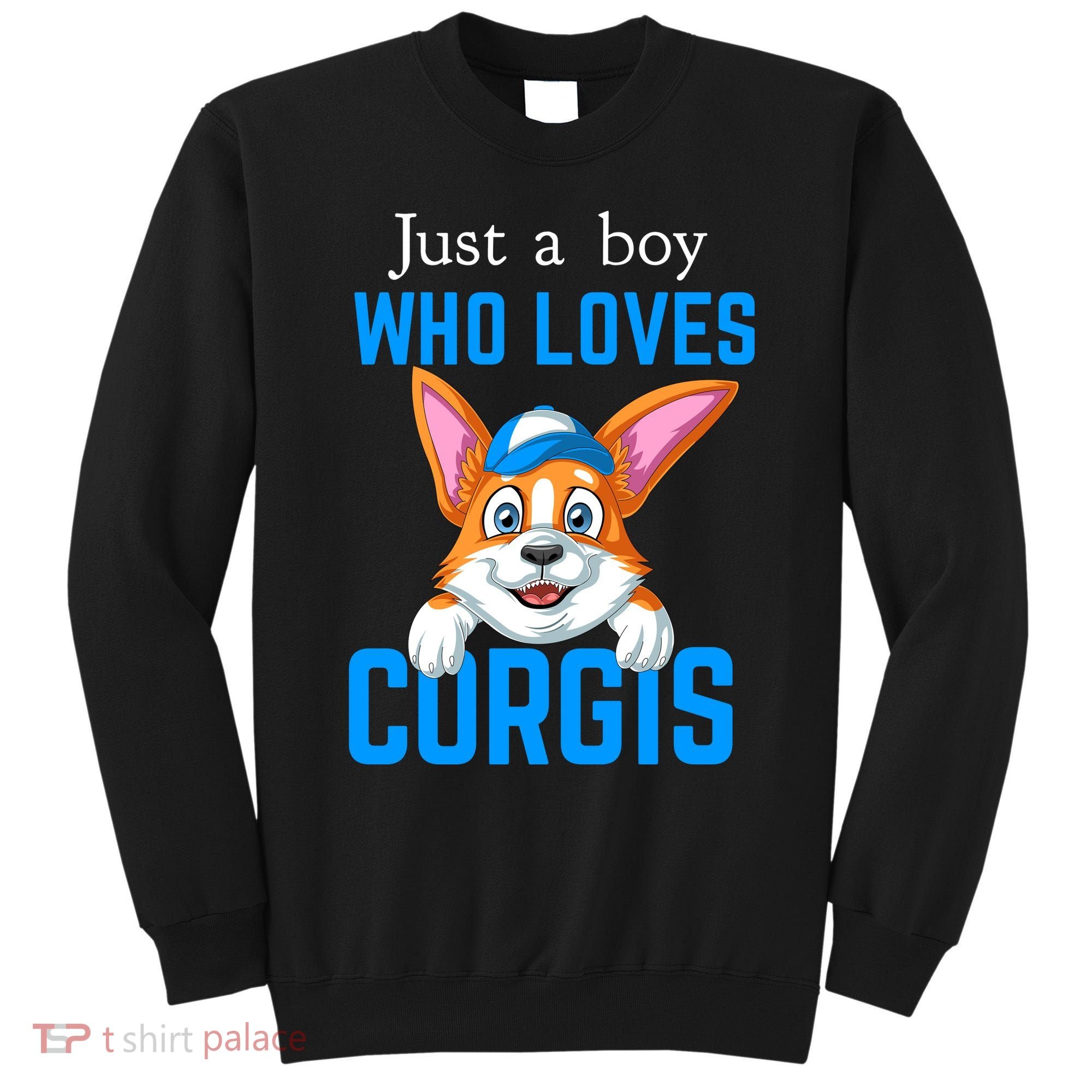 Just A Boy Who Loves Corgis Sweatshirt