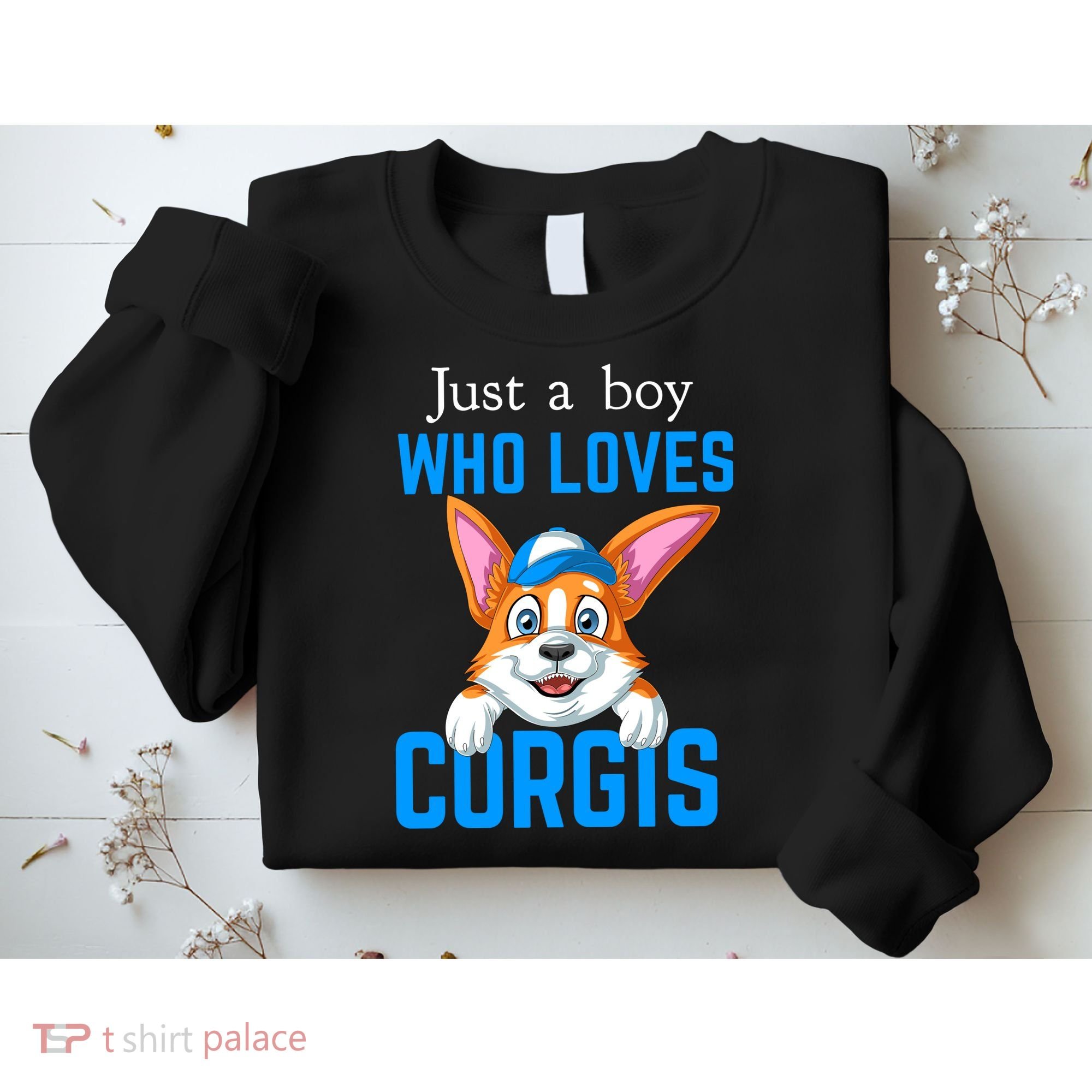 Just A Boy Who Loves Corgis Sweatshirt