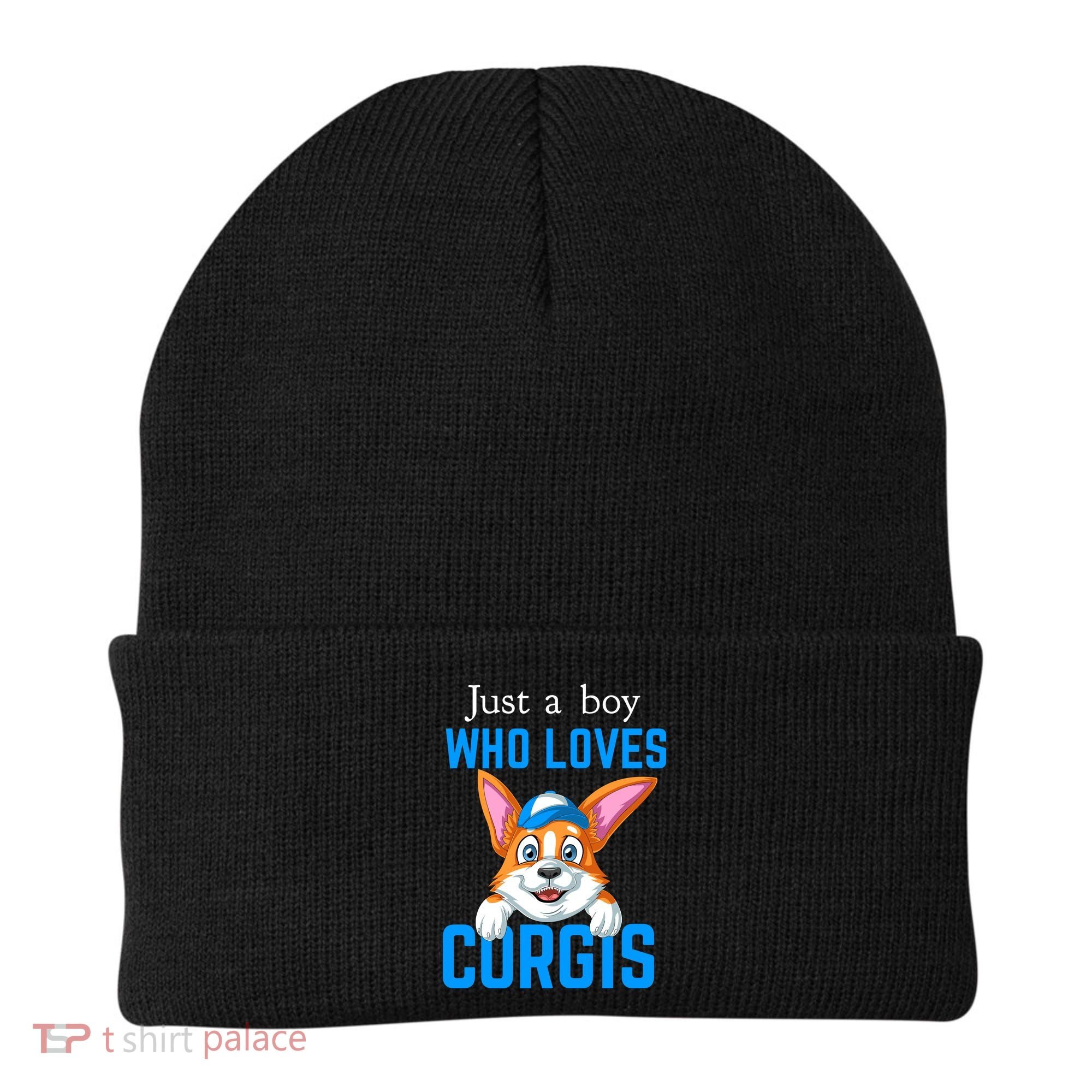 Just A Boy Who Loves Corgis Beanie