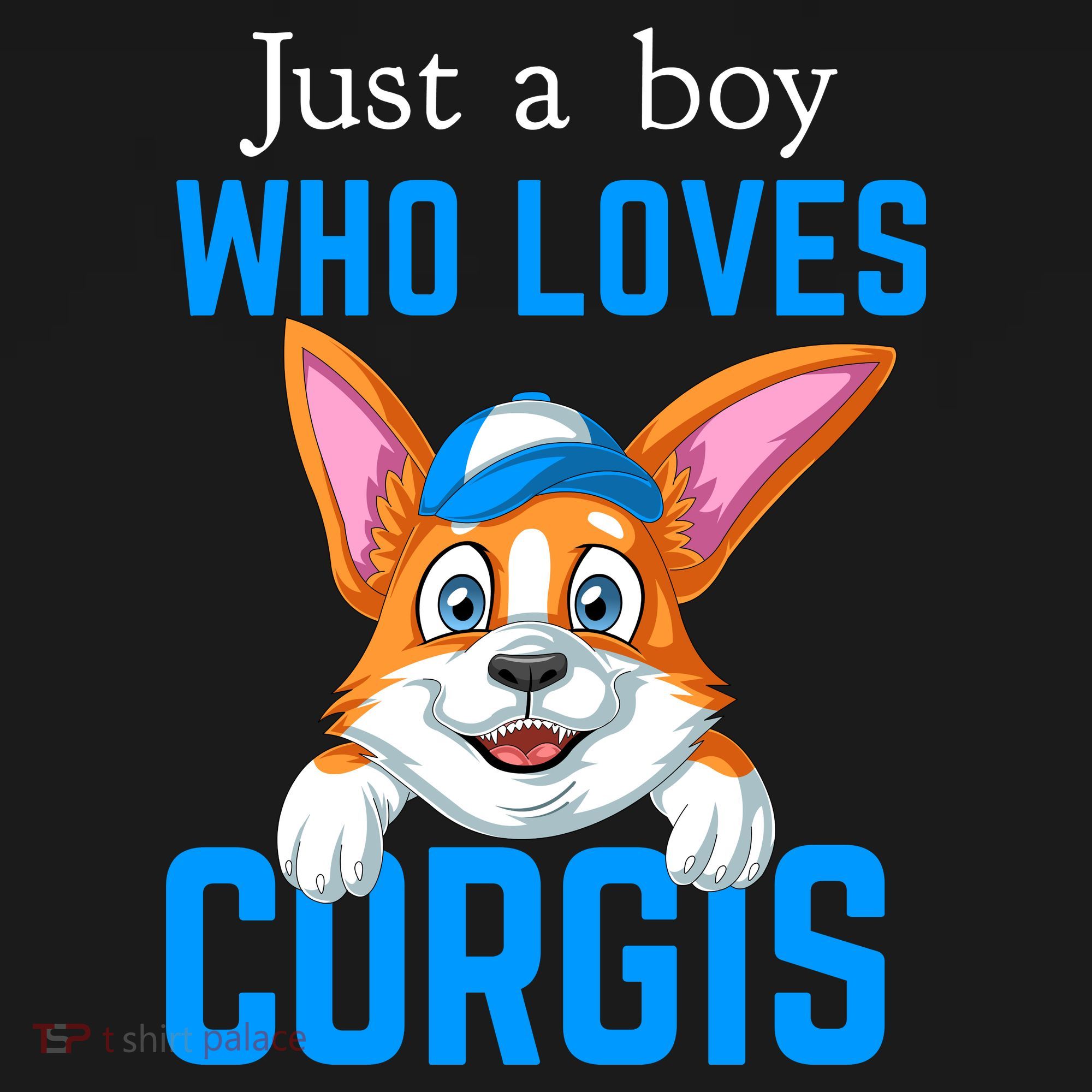 Just A Boy Who Loves Corgis Coaster