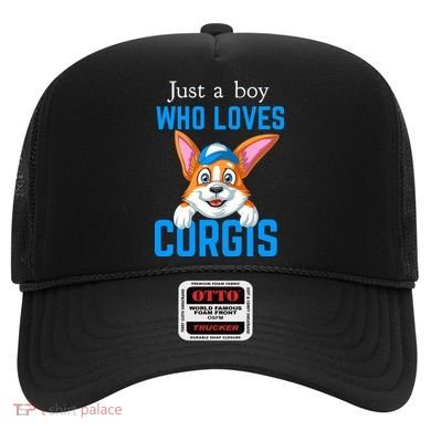 Just A Boy Who Loves Corgis Hat