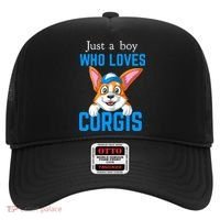 Just A Boy Who Loves Corgis Hat thumb 0