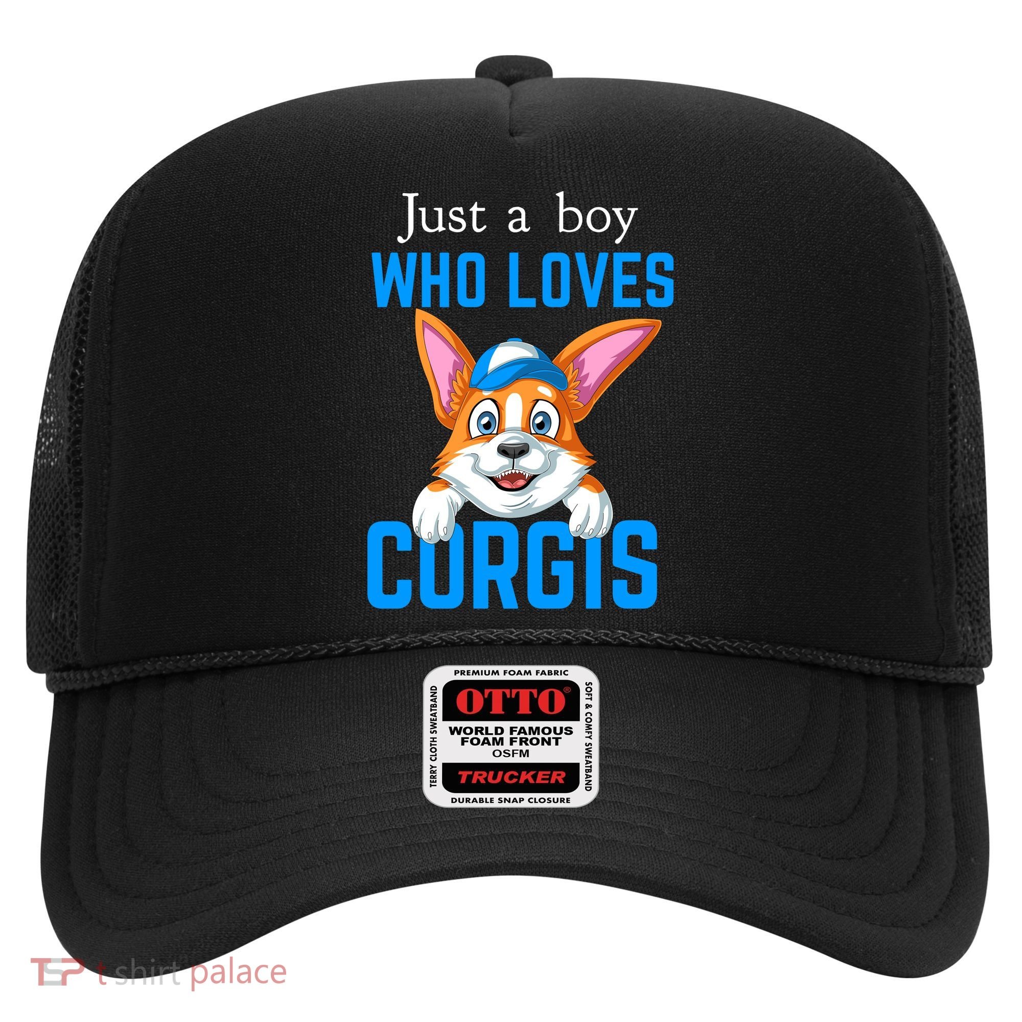 Just A Boy Who Loves Corgis Hat