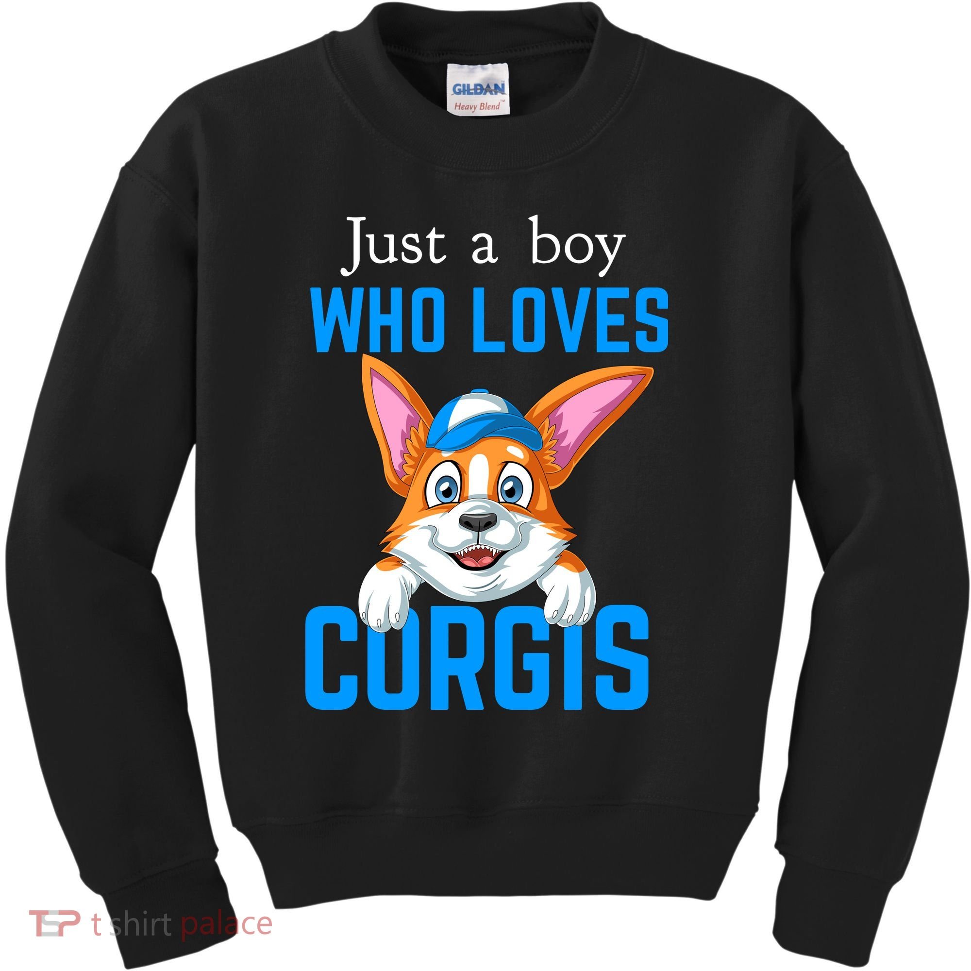 Just A Boy Who Loves Corgis Kids Sweatshirt