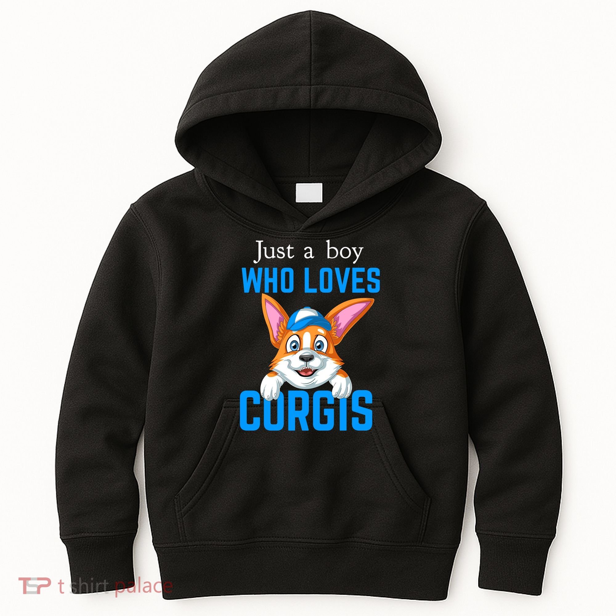 Just A Boy Who Loves Corgis Kids Hoodie
