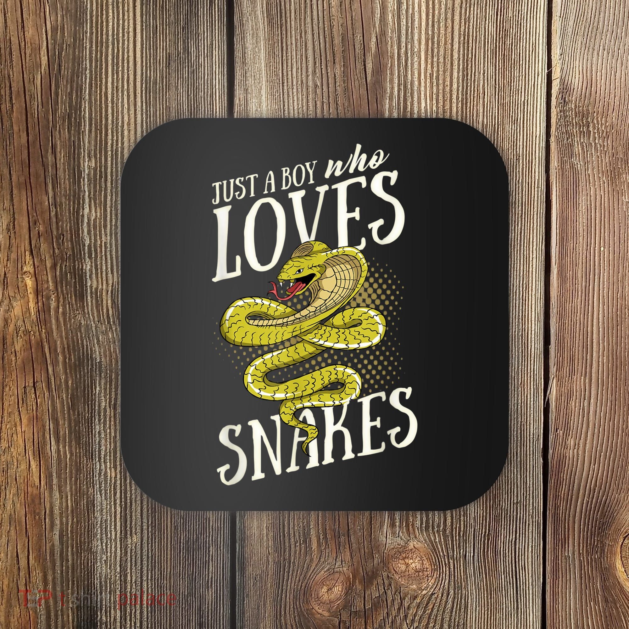 Just A Boy Who Loves Snakes Snake Lover Gift Coaster