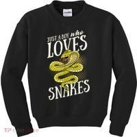 Just A Boy Who Loves Snakes Snake Lover Gift Kids Sweatshirt thumb 0