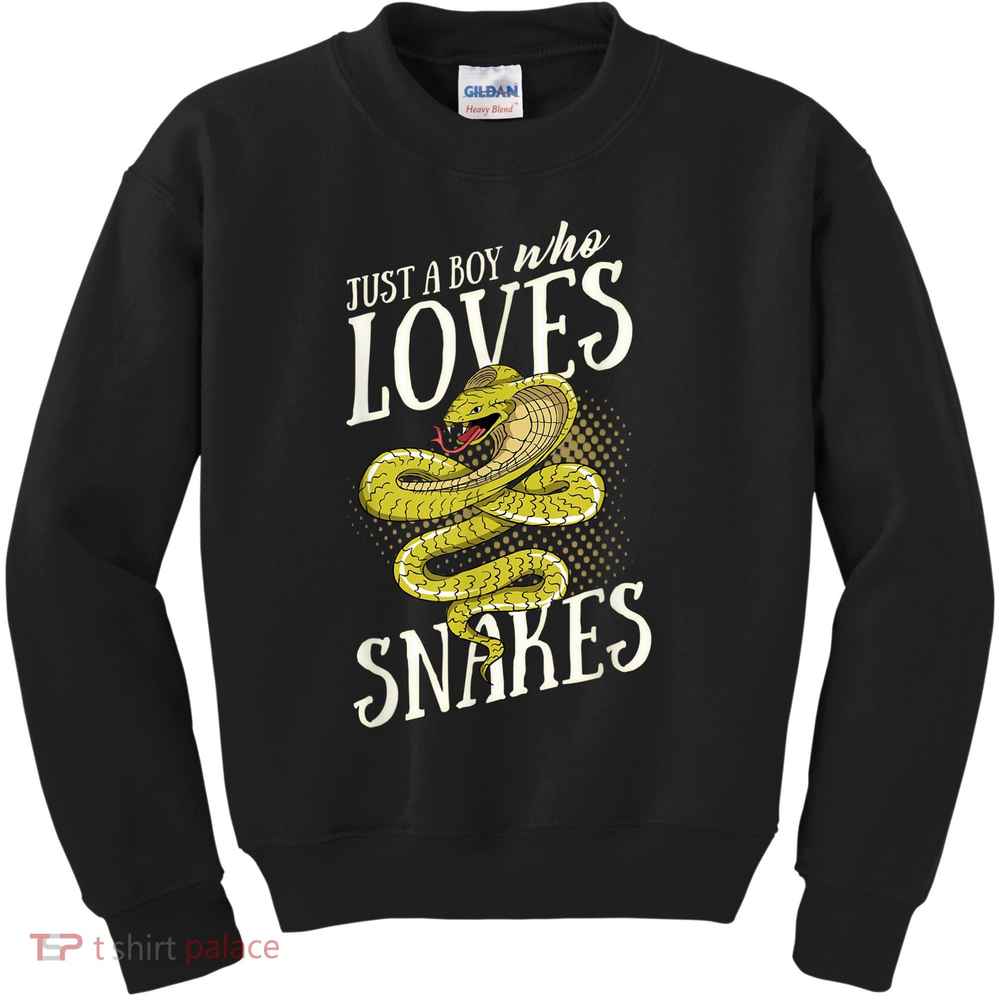 Just A Boy Who Loves Snakes Snake Lover Gift Kids Sweatshirt