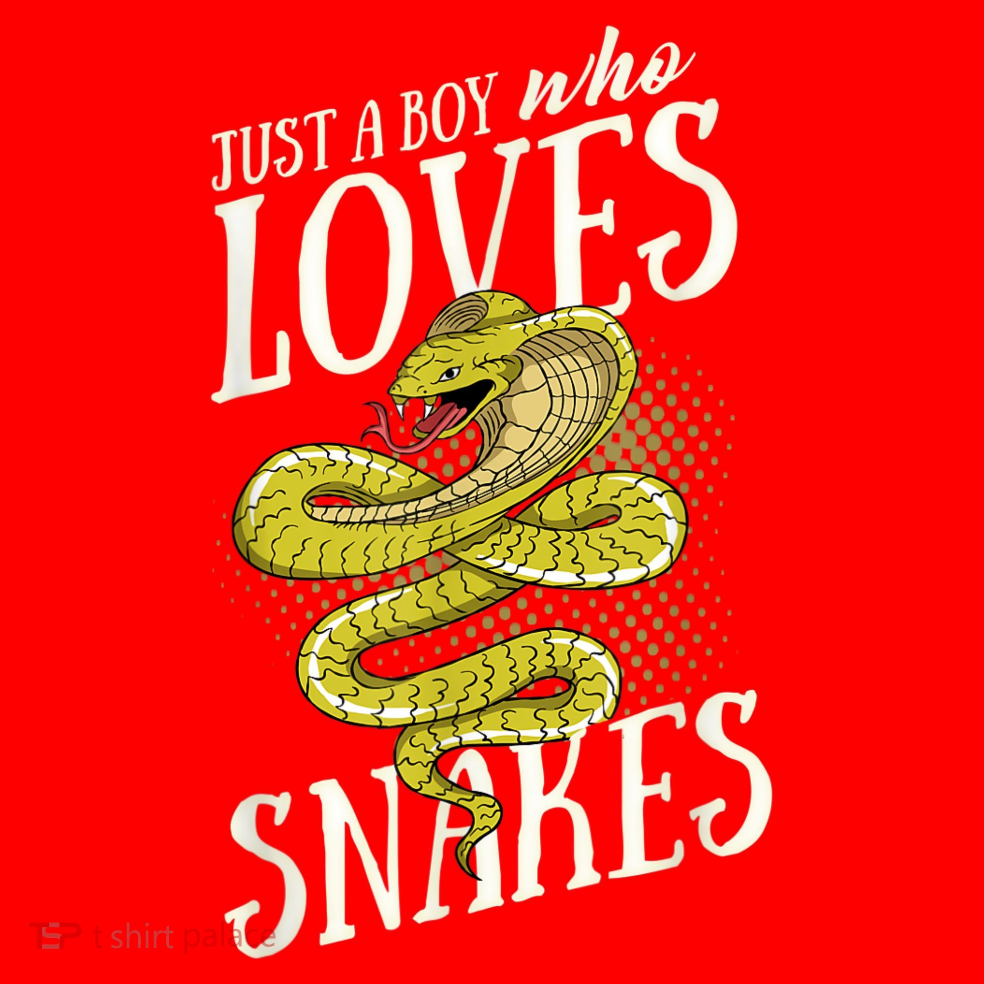 Just A Boy Who Loves Snakes Snake Lover Gift Santa Hat