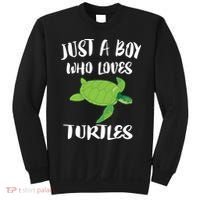 Just A Boy Who Loves Sea Turtles Ocean Animal Gift Sweatshirt thumb 0