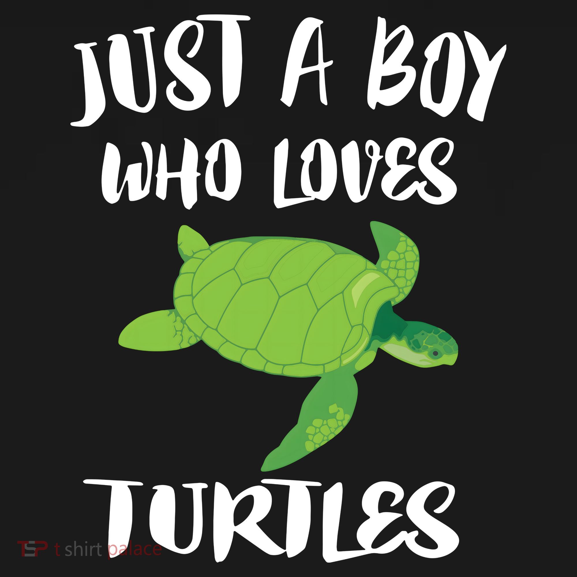 Just A Boy Who Loves Sea Turtles Ocean Animal Gift Sweatshirt