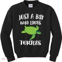 Just A Boy Who Loves Sea Turtles Ocean Animal Gift Kids Sweatshirt thumb 0