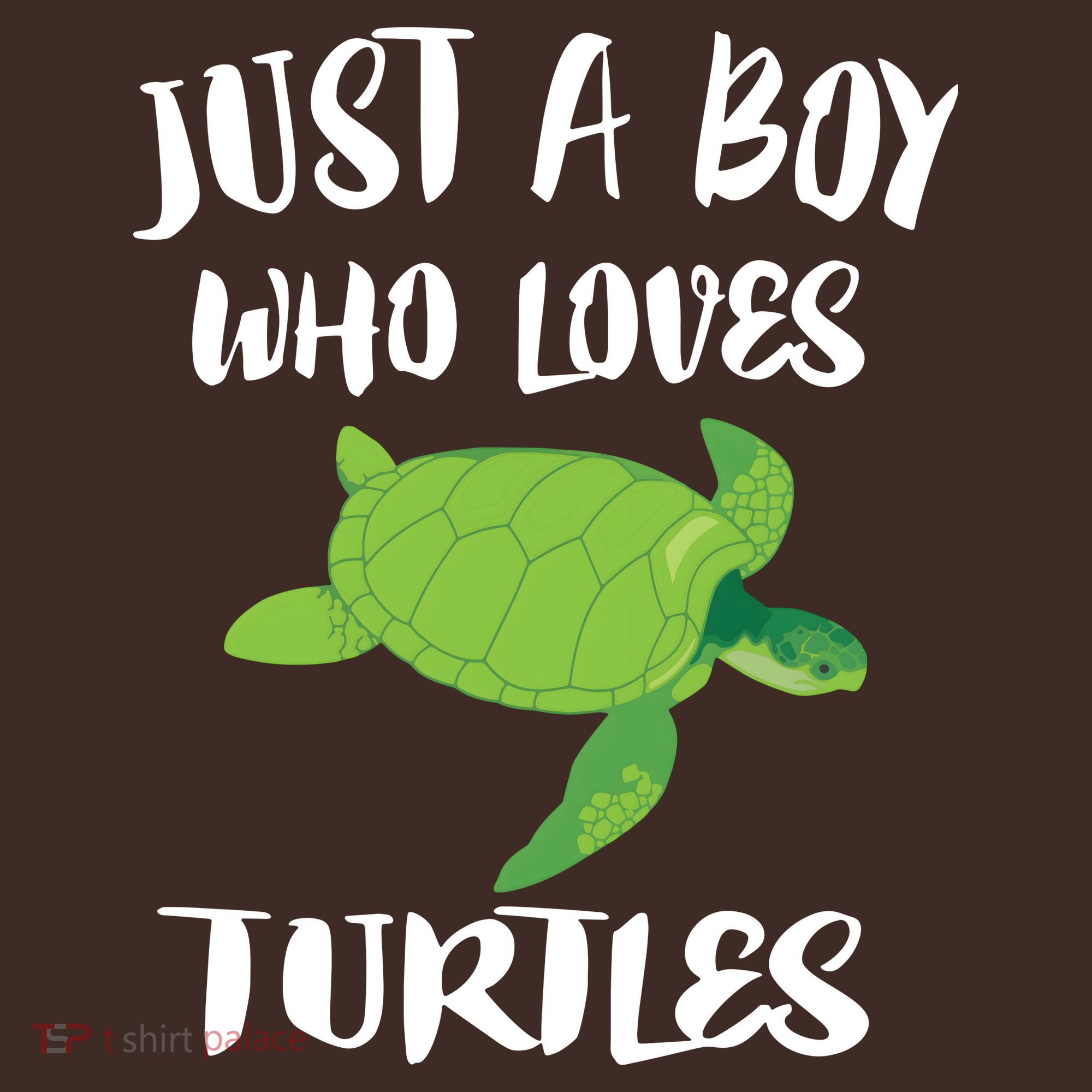 Just A Boy Who Loves Sea Turtles Ocean Animal Gift T-Shirt