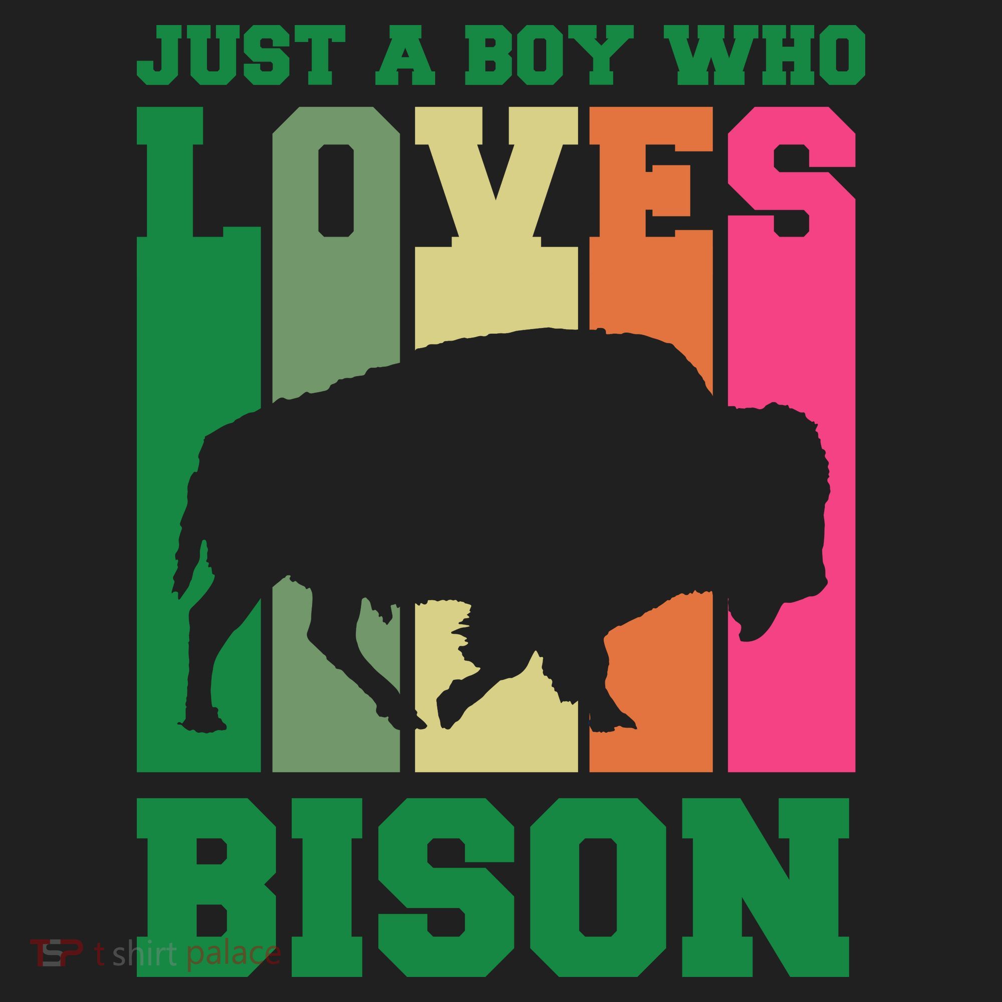 Just A Boy Who Loves Bison Beanie