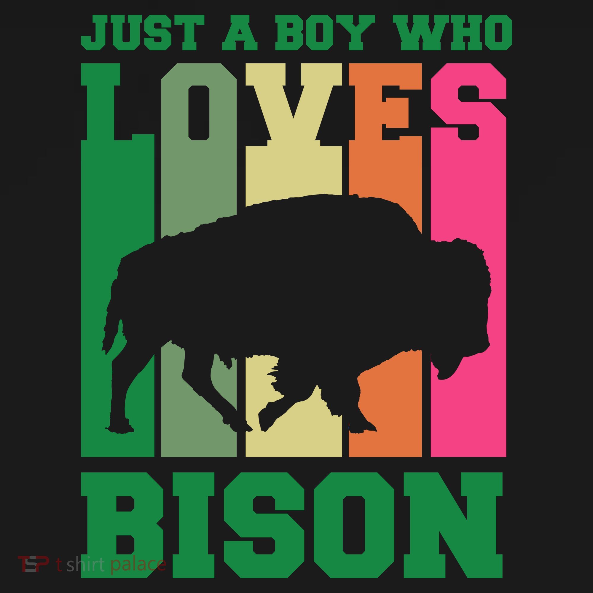 Just A Boy Who Loves Bison Polo