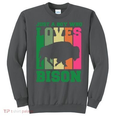 Just A Boy Who Loves Bison Sweatshirt