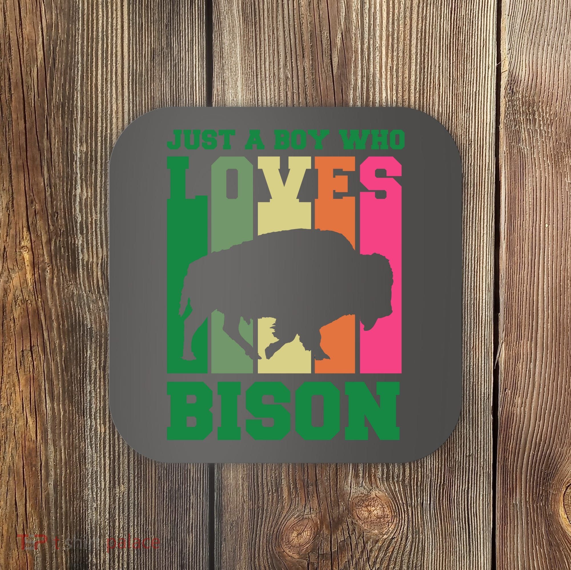 Just A Boy Who Loves Bison Coaster