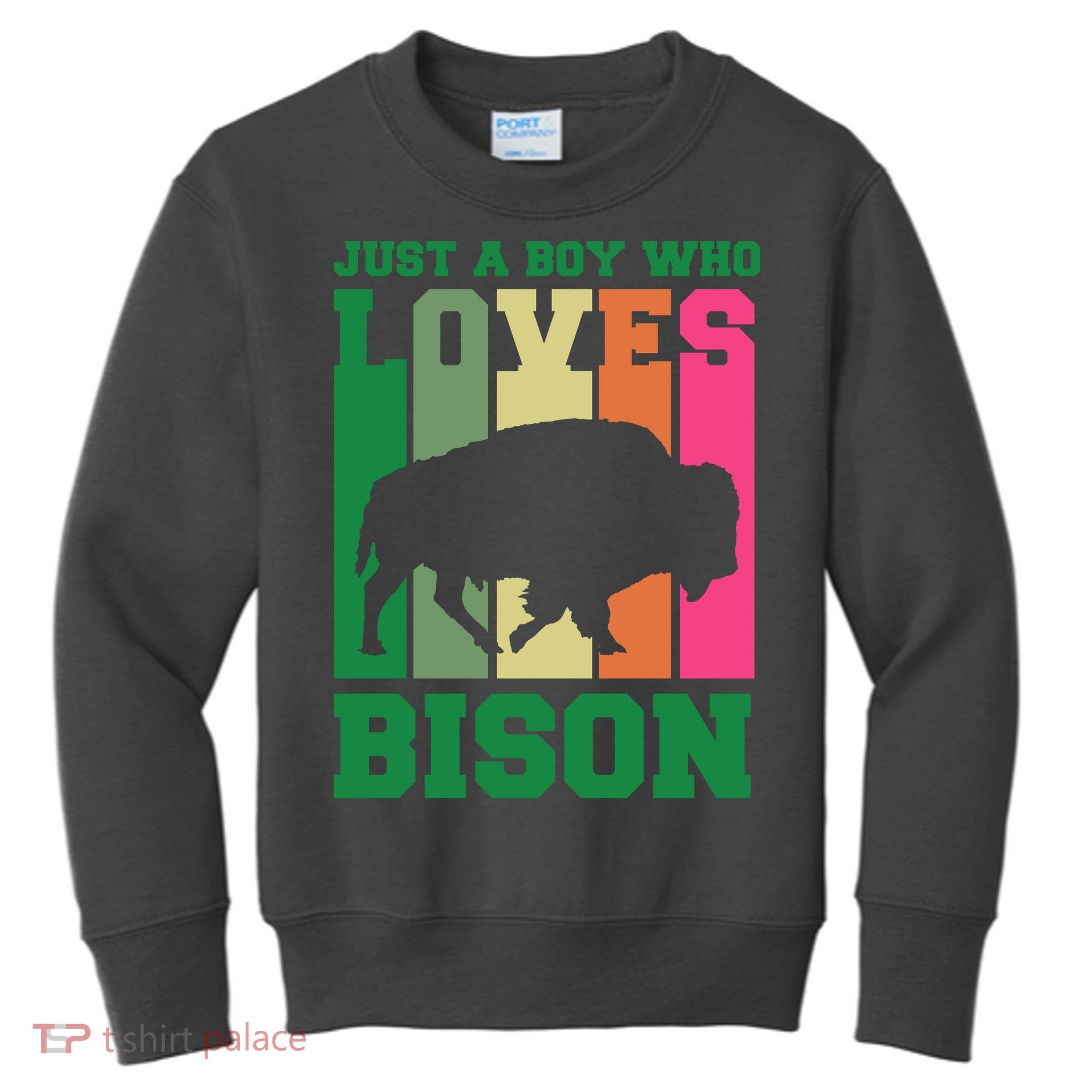 Just A Boy Who Loves Bison Kids Sweatshirt