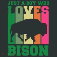 Just A Boy Who Loves Bison Kids Sweatshirt thumb 2