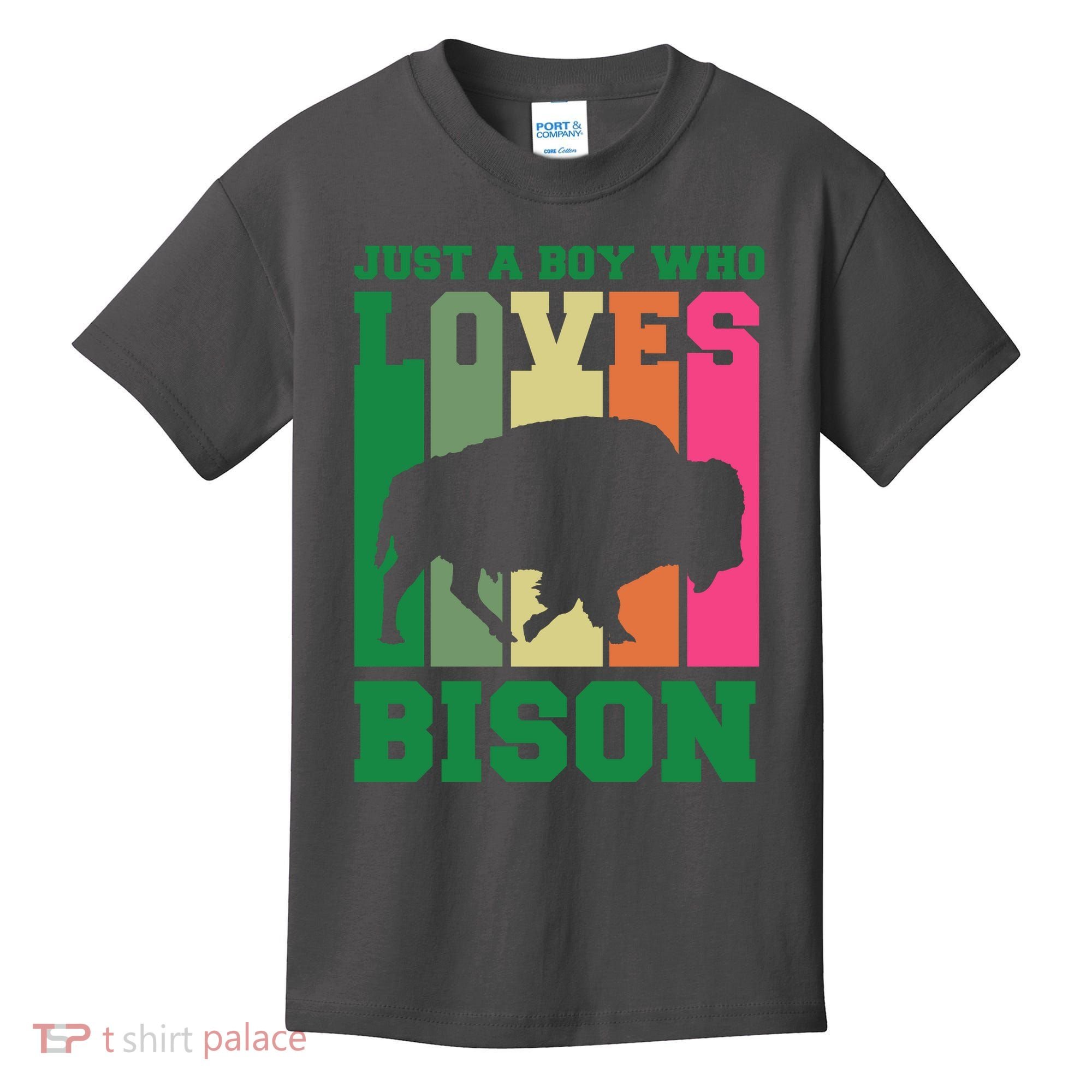 Just A Boy Who Loves Bison Kids T-Shirt