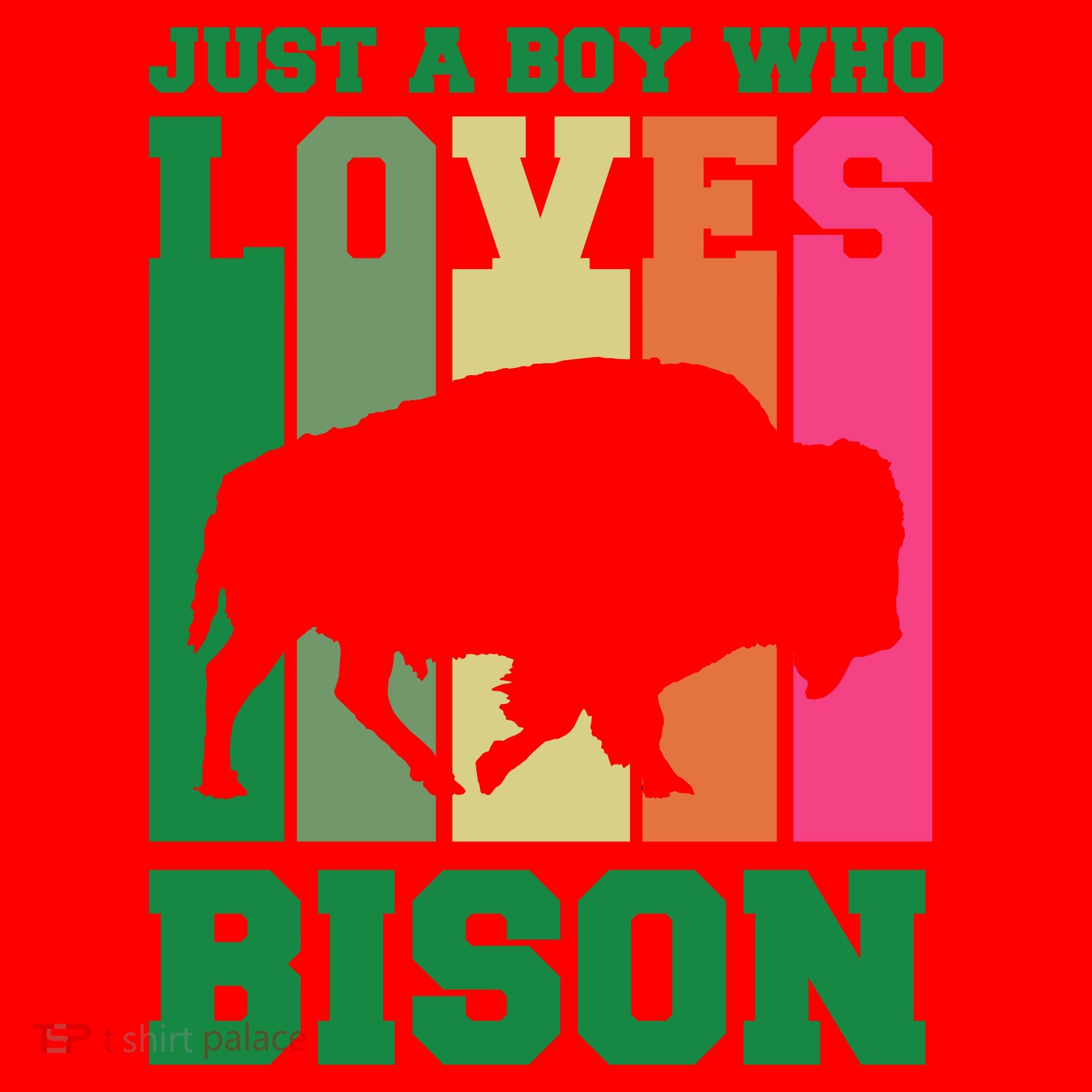 Just A Boy Who Loves Bison Santa Hat