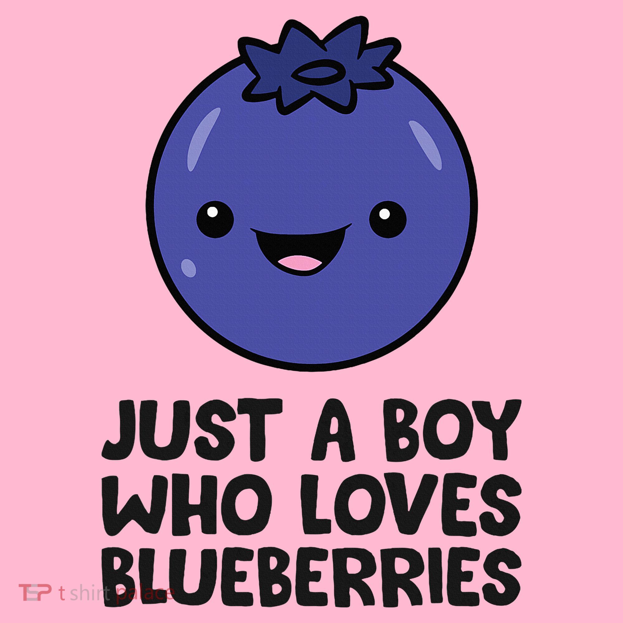 Just A Boy Who Loves Blueberries Coaster