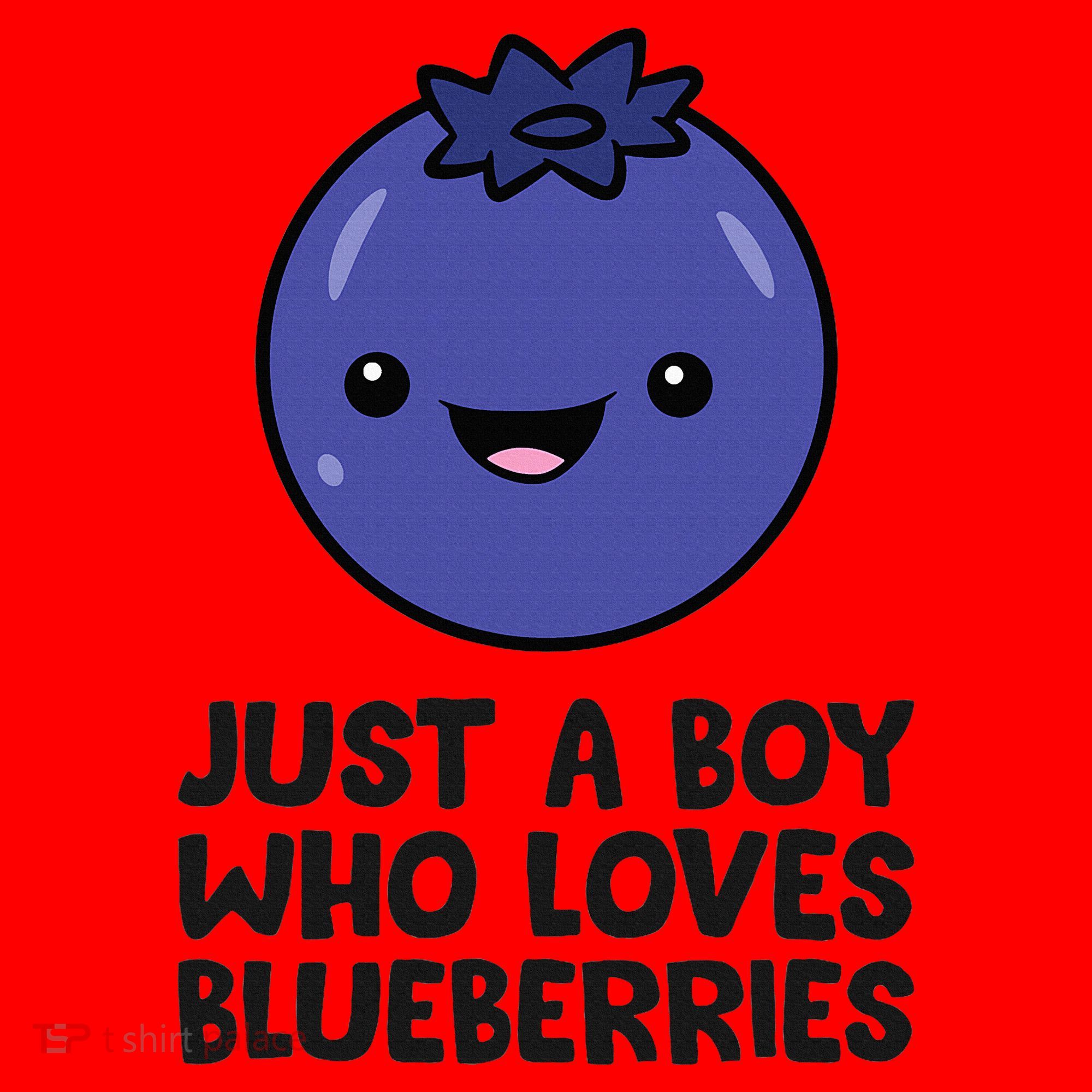 Just A Boy Who Loves Blueberries Santa Hat